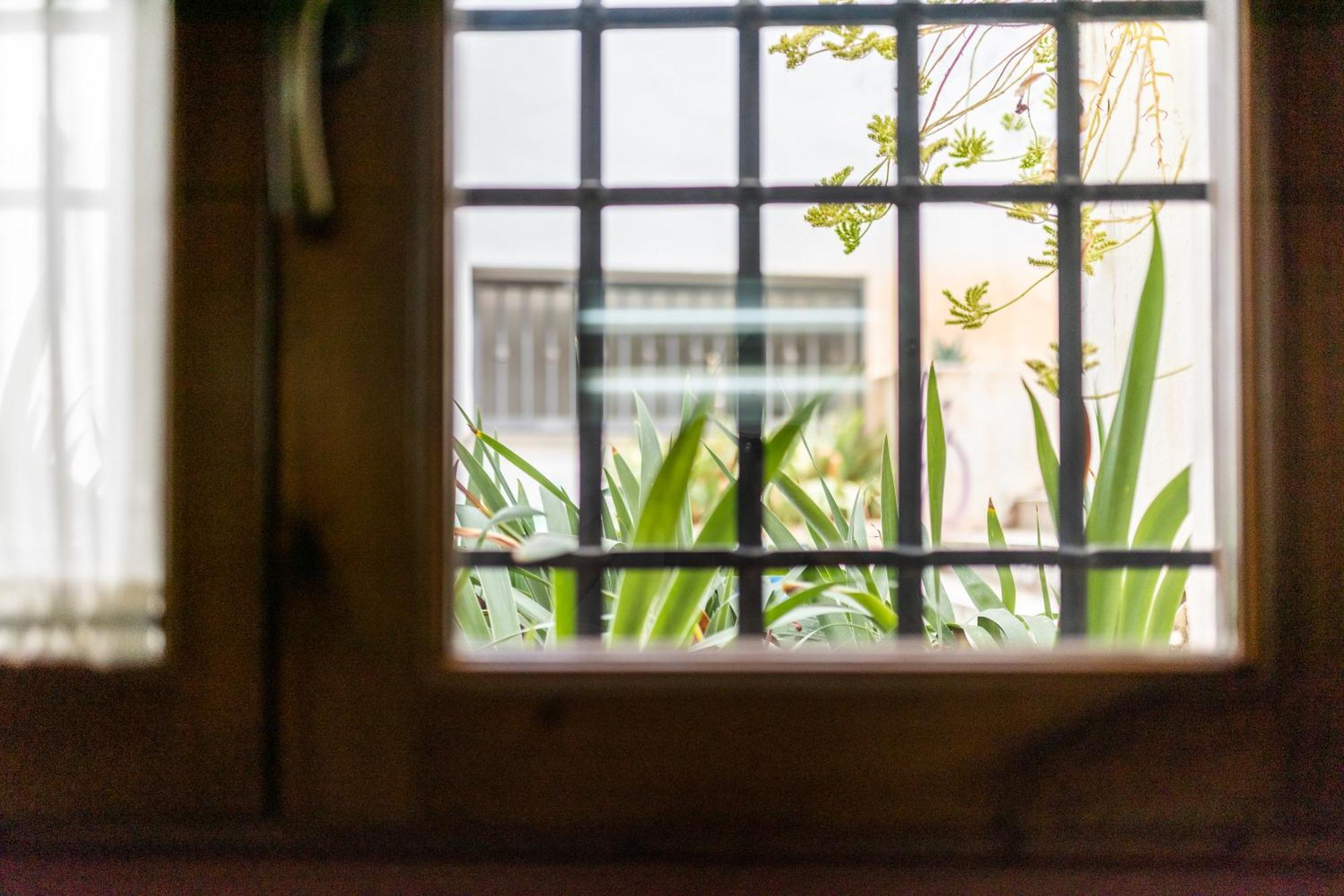 El Rey Zagal Apartament Casa Siglo XVI Pleno Centro グラナダ エクステリア 写真